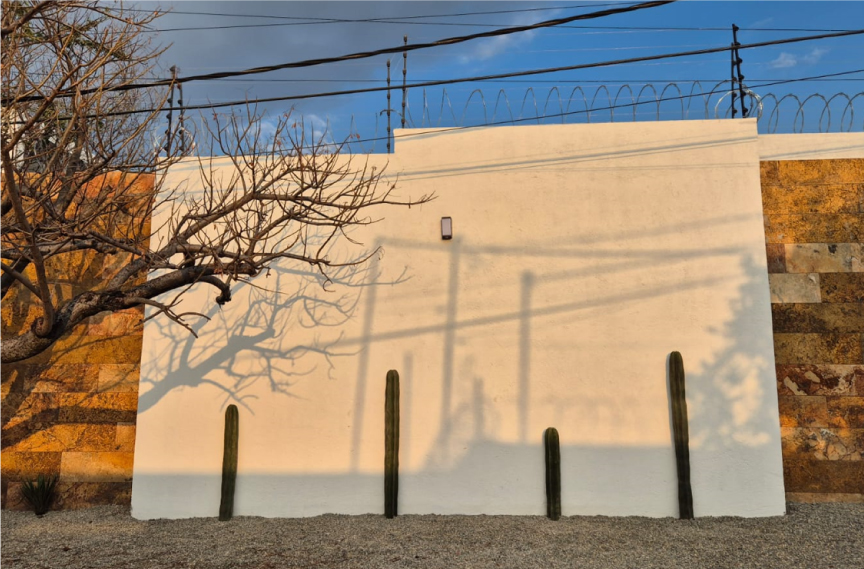 Vivero-la-Flor-de-Morelos-paisajismo-1