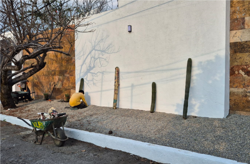 Vivero-la-Flor-de-Morelos-paisajismo-3