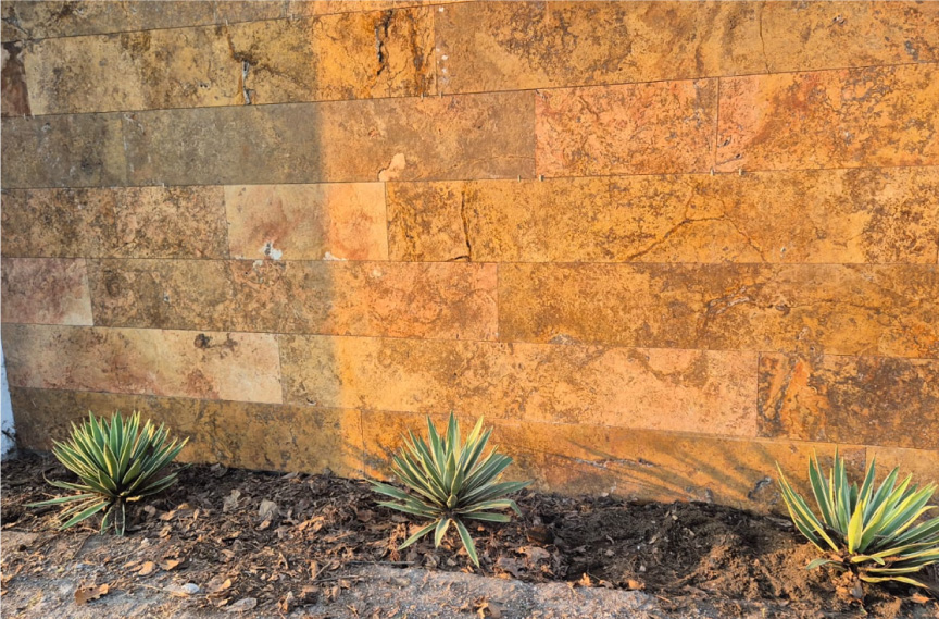 Vivero-la-Flor-de-Morelos-paisajismo-5.1