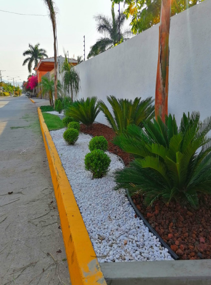 Vivero-la-Flor-de-Morelos-paisajismo-9