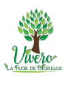 VIVIERO-LA FLOR DE-MORELOS-WEB-LOGO-