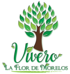 Venta de plantas, árboles, pasto, paisajismo